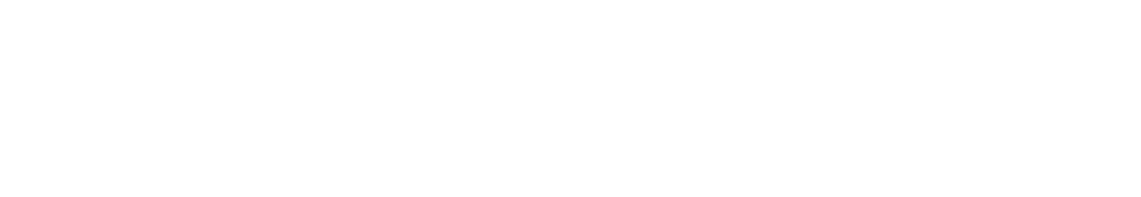 Novita logo
